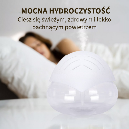 Profesjonalny oczyszczacz powietrza