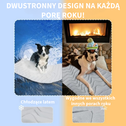 Innowacyjna Chłodząca Mata dla Zwierząt
