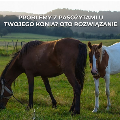 Pasta Ivermektynowa dla Koni