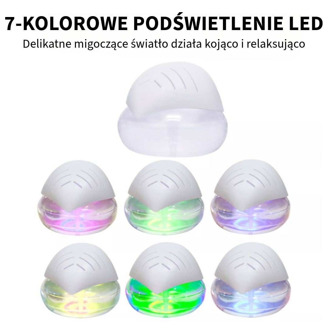 Profesjonalny oczyszczacz powietrza