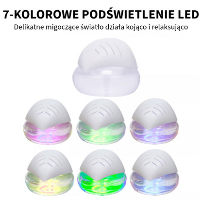 Profesjonalny oczyszczacz powietrza