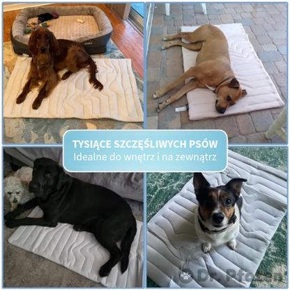 Innowacyjna Chłodząca Mata dla Zwierząt