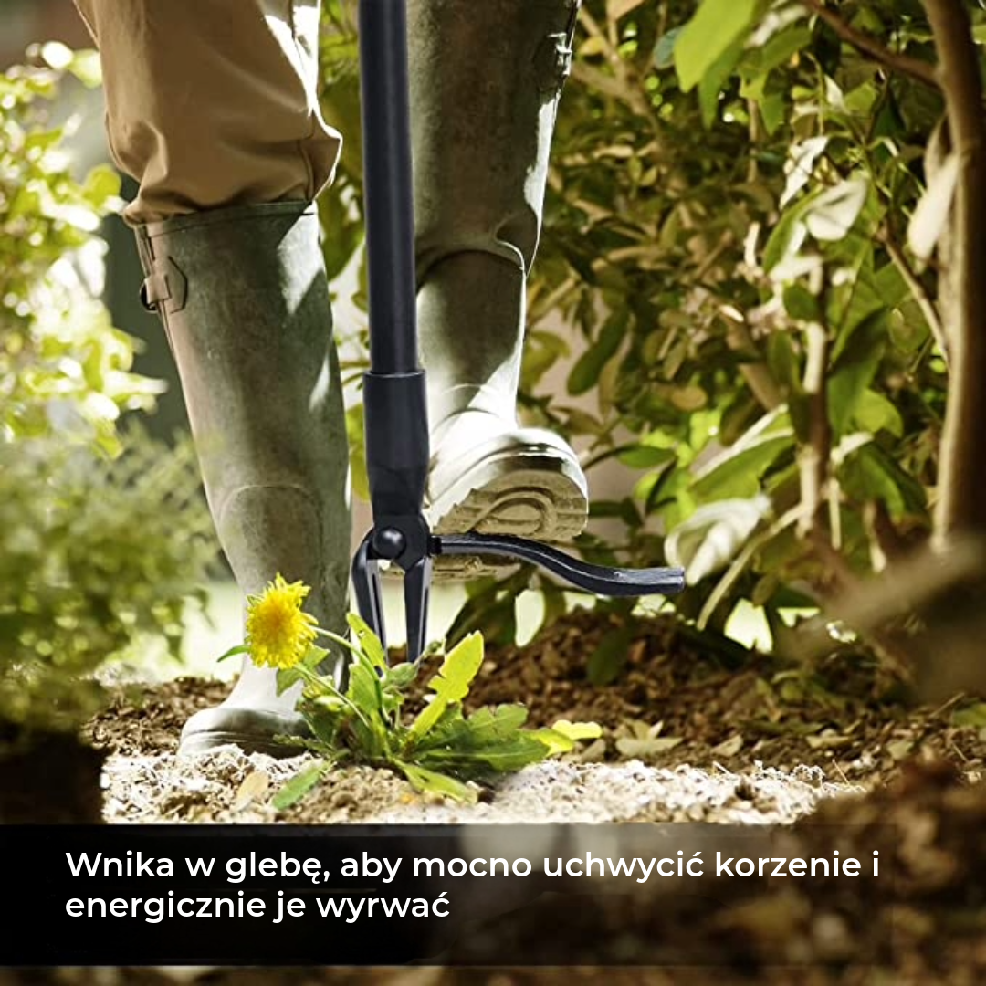 Profesjonalny Usuwacz Chwastów